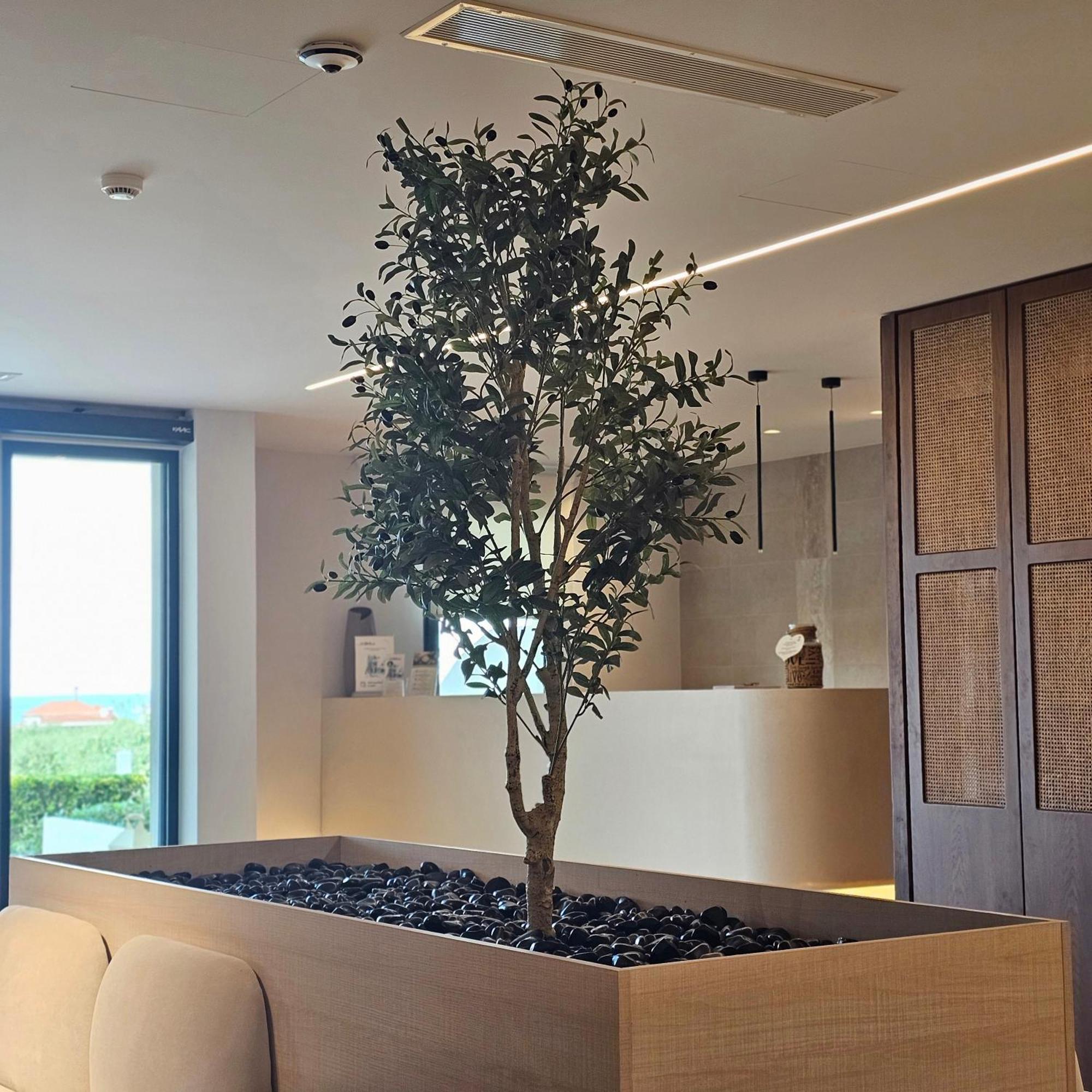 Ocean Beach Hotel سكالا بوتامياس المظهر الخارجي الصورة